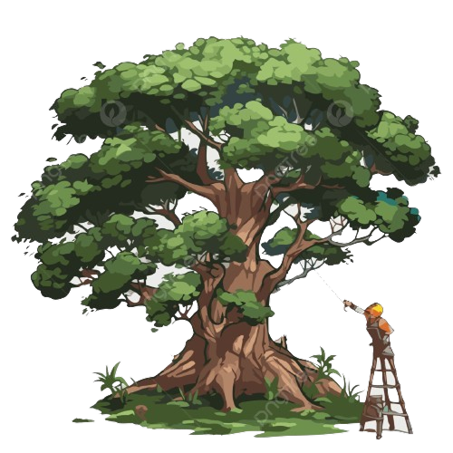 Tree illustration