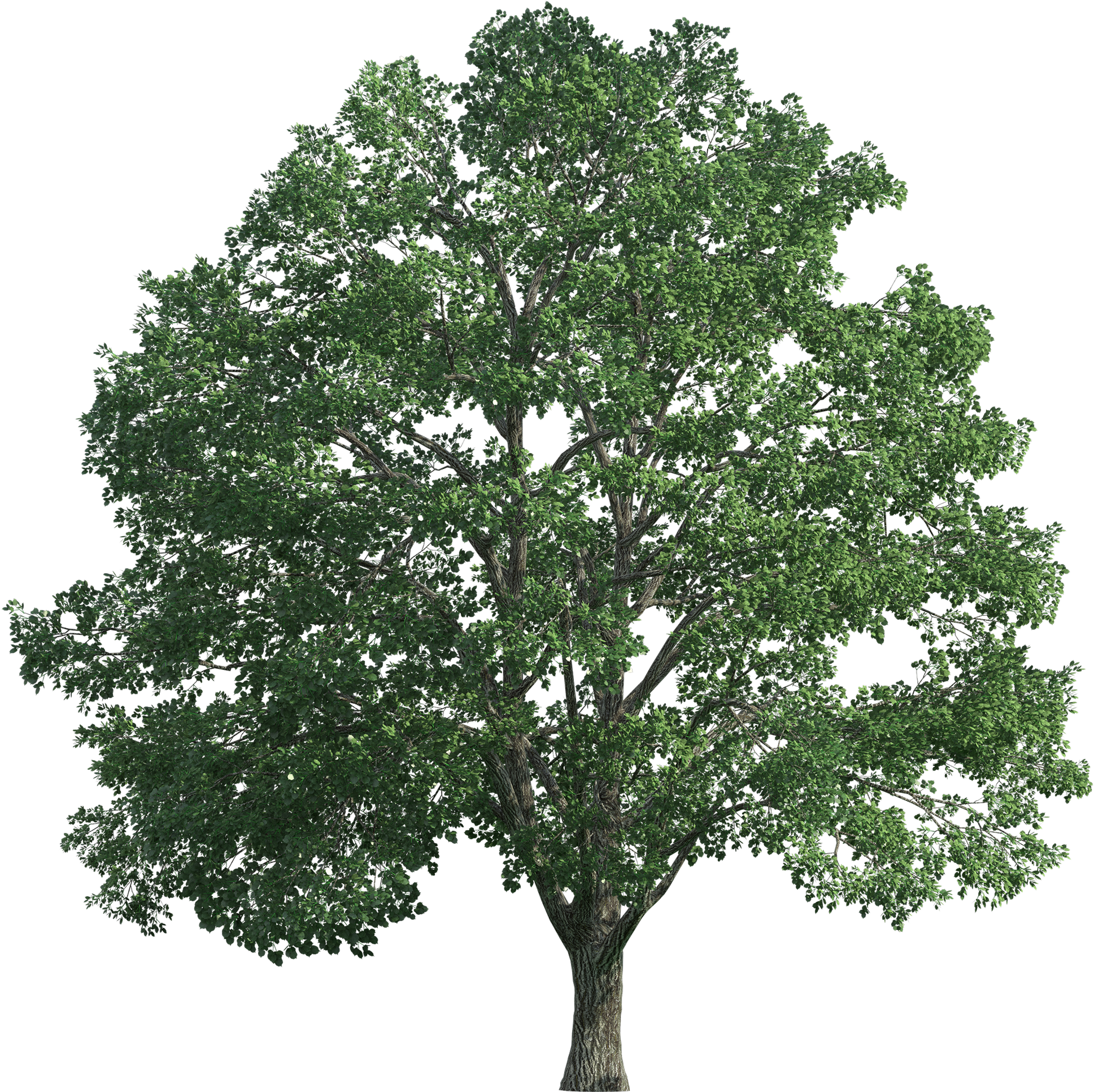Tree Worker Decoration