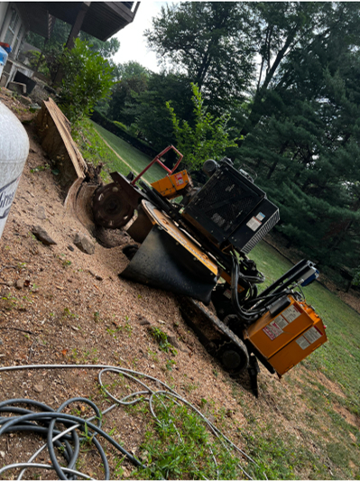 Stump Grinding