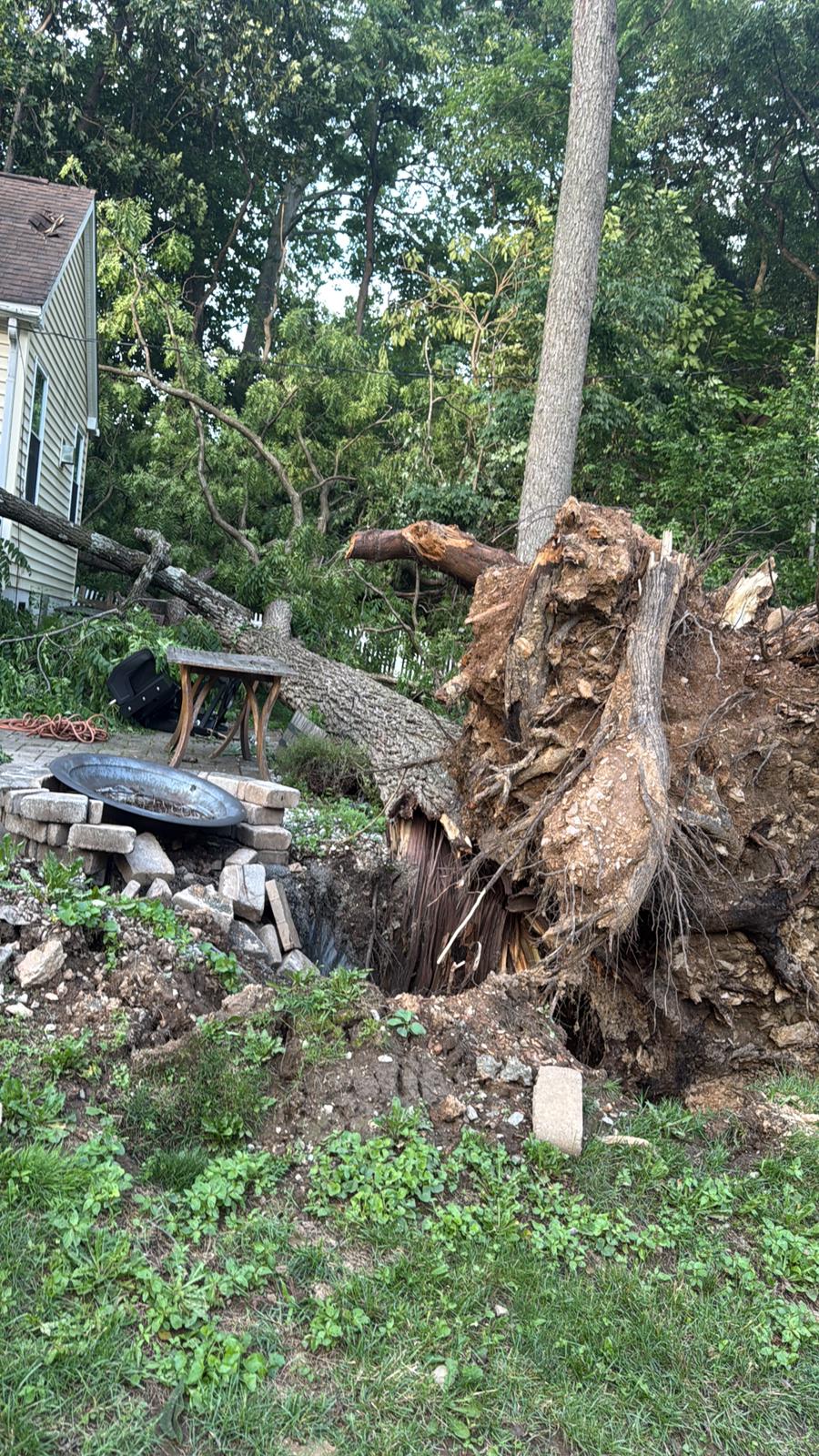 Tree service work A